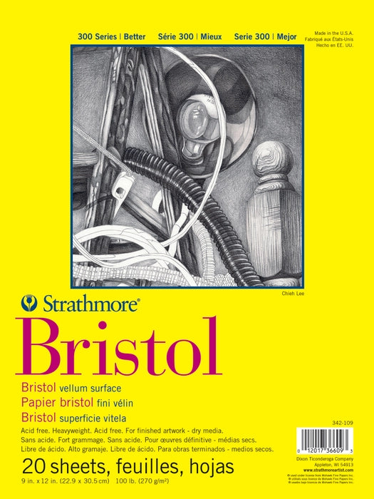 Strathmore - Bristol - 300 Series - Paper Pads - 270 GSM - Vellum Surface
